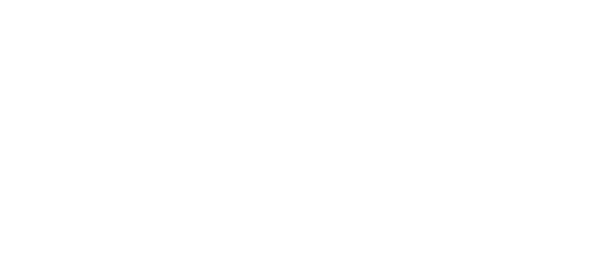 The Innovative Owl